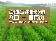 种植基地四