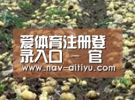 种植基地八(图1)