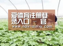 种植基地三