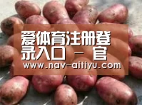 产品展示标题5