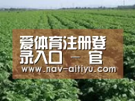 种植基地五